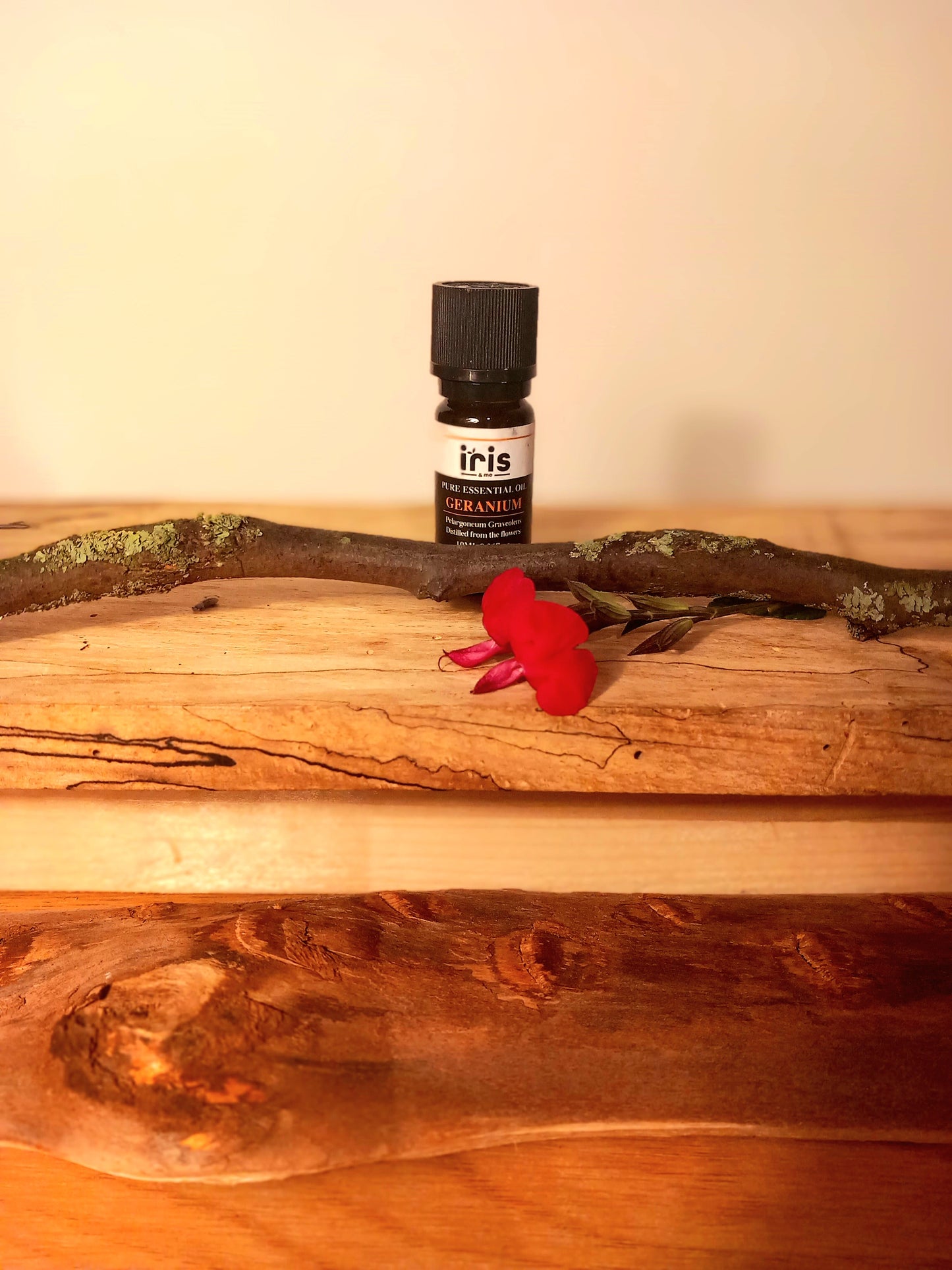 Geranium essential oil